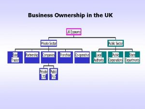 Business Ownership in the UK Private Sector aims