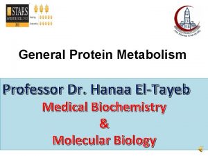 General Protein Metabolism Professor Dr Hanaa ElTayeb H