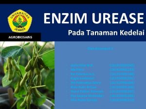 ENZIM UREASE Pada Tanaman Kedelai AGROBIOSAINS Oleh Kelompok