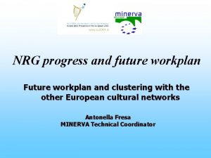 NRG progress and future workplan Future workplan and