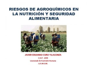 RIESGOS DE AGROQUMICOS EN LA NUTRICIN Y SEGURIDAD