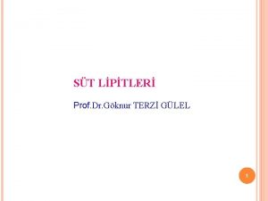 ST LPTLER Prof Dr Gknur TERZ GLEL 1