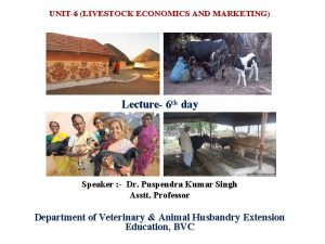 UNIT6 LIVESTOCK ECONOMICS AND MARKETING Lecture 6 th