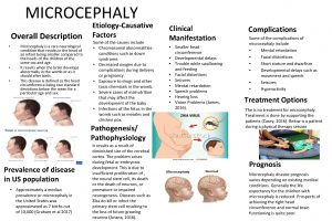 MICROCEPHALY Overall Description Microcephaly is a rare neurological