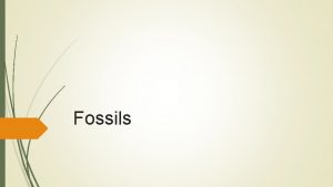 Fossils Fossil The preserved remains or evidence of