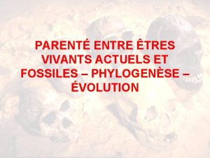 PARENT ENTRE TRES VIVANTS ACTUELS ET FOSSILES PHYLOGENSE