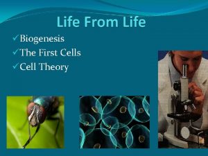 Biogenesis The First Cells Cell Theory Abiogenesis or