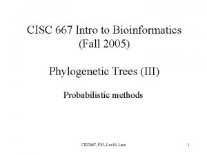 CISC 667 Intro to Bioinformatics Fall 2005 Phylogenetic