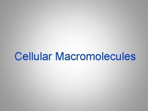 Cellular Macromolecules Macromolecules Large organic molecules Contain carbon Cellular Macromolecules Macromolecules Large organic molecules Contain carbon