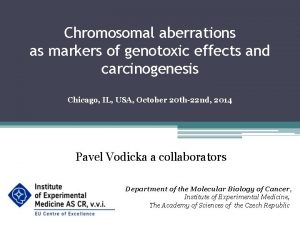 Chromosomal aberrations as markers of genotoxic effects and