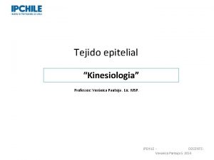 Tejido epitelial Kinesiologia Professor Vernica Pantoja Lic MSP