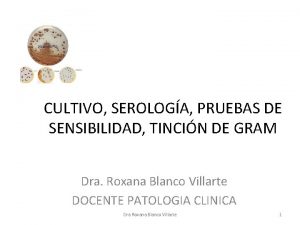 CULTIVO SEROLOGA PRUEBAS DE SENSIBILIDAD TINCIN DE GRAM