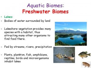 Aquatic Biomes Freshwater Biomes Lakes Bodies of water