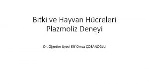 Bitki ve Hayvan Hcreleri Plazmoliz Deneyi Dr retim