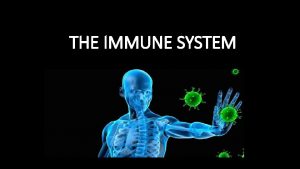 THE IMMUNE SYSTEM Immune System Protects you against