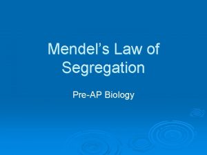 Mendels Law of Segregation PreAP Biology Bellwork How
