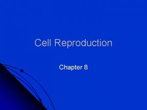 Cell Reproduction Chapter 8 8 1 Chromosomes Cell