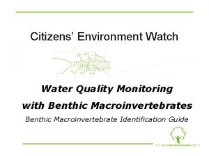 Citizens Environment Watch Water Quality Monitoring with Benthic