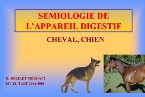 SEMIOLOGIE DE LAPPAREIL DIGESTIF CHEVAL CHIEN Dr BELILETMERDACI