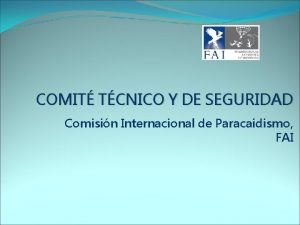 COMIT TCNICO Y DE SEGURIDAD Comisin Internacional de