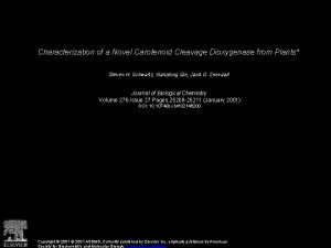 Characterization of a Novel Carotenoid Cleavage Dioxygenase from