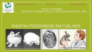 Enfermagem Veterinria 20162017 Inspeo Sanitria Docente Teresa Mateus