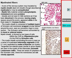 Myelinated fibers Axons of the nervous system may