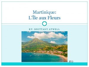 Martinique Lle aux Fleurs BY BRITTANY ATWELL G