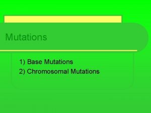 Mutations 1 Base Mutations 2 Chromosomal Mutations What