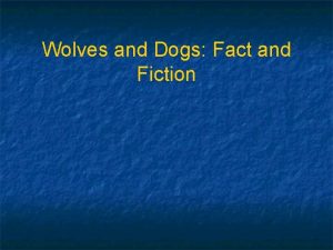 Wolves and Dogs Fact and Fiction n n