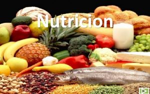Nutricion Agenda Concepto de Nutricion La nutricion Importancia