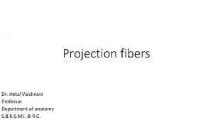 Projection fibers Dr Hetal Vaishnani Professor Department of