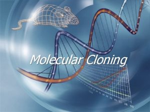 Molecular Cloning Definitions q Cloning q Obtaining a