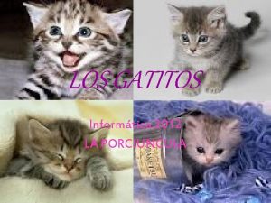 LOS GATITOS Informtica 2012 LA PORCIUNCULA CARACTERISTICAS GENERALES