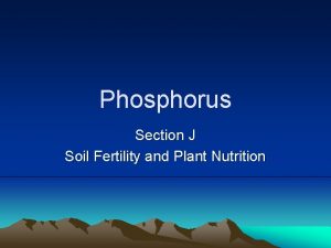 Phosphorus Section J Soil Fertility and Plant Nutrition