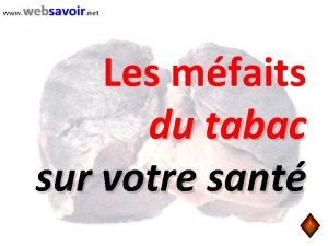 www websavoir net Les mfaits du tabac sur