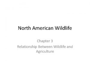 North American Wildlife Chapter 3 Relationship Between Wildlife