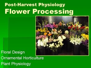 PostHarvest Physiology Flower Processing Floral Design Ornamental Horticulture