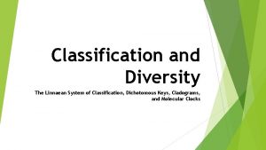 Classification and Diversity The Linnaean System of Classification