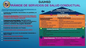 DJUHSD PIRMIDE DE SERVICIOS DE SALUD CONDUCTUAL Servicios