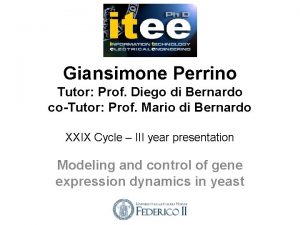 Giansimone Perrino Tutor Prof Diego di Bernardo coTutor