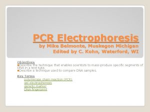 PCR Electrophoresis by Mike Belmonte Muskegon Michigan Edited