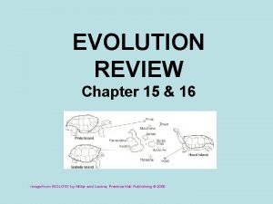 EVOLUTION REVIEW Chapter 15 16 Image from BIOLOGY