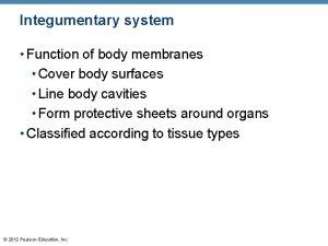 Integumentary system Function of body membranes Cover body