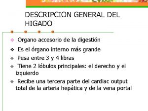 DESCRIPCION GENERAL DEL HIGADO v Organo accesorio de