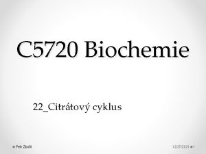 C 5720 Biochemie 22Citrtov cyklus Petr Zboil 12272021