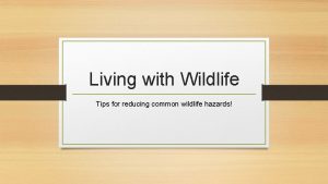 Living with Wildlife Tips for reducing common wildlife