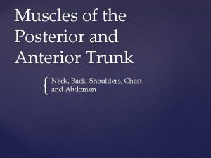 Muscles of the Posterior and Anterior Trunk Neck