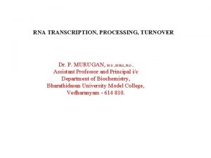 RNA TRANSCRIPTION PROCESSING TURNOVER Dr P MURUGAN M