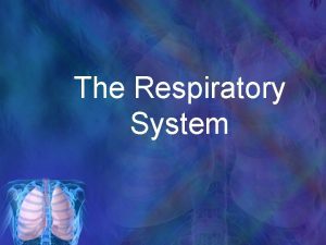 The Respiratory System Parts of the Respiratory System